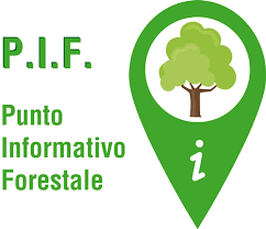 Calendario Orari P.I.F. - II° Semestre 2025